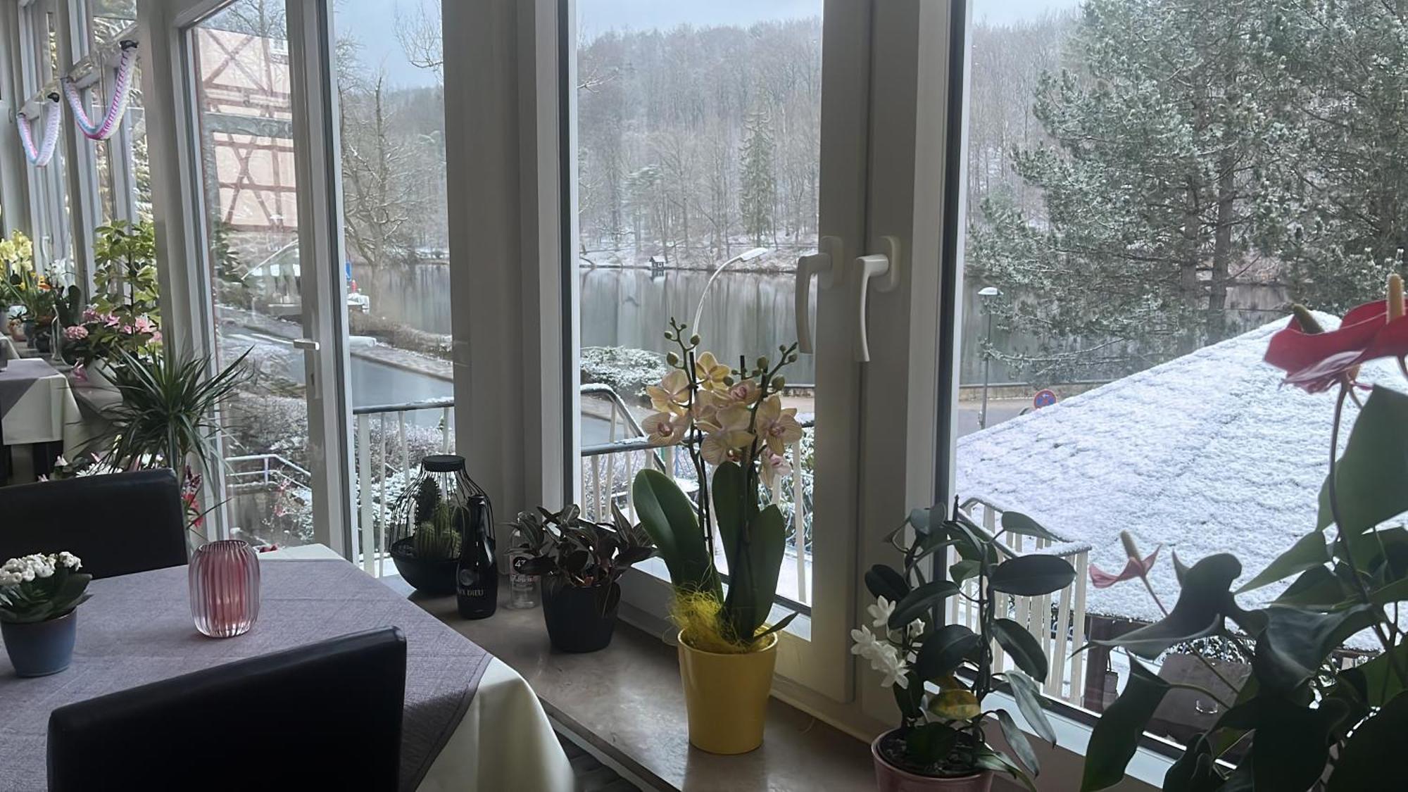 Haus Am See Bad Sachsa Kültér fotó