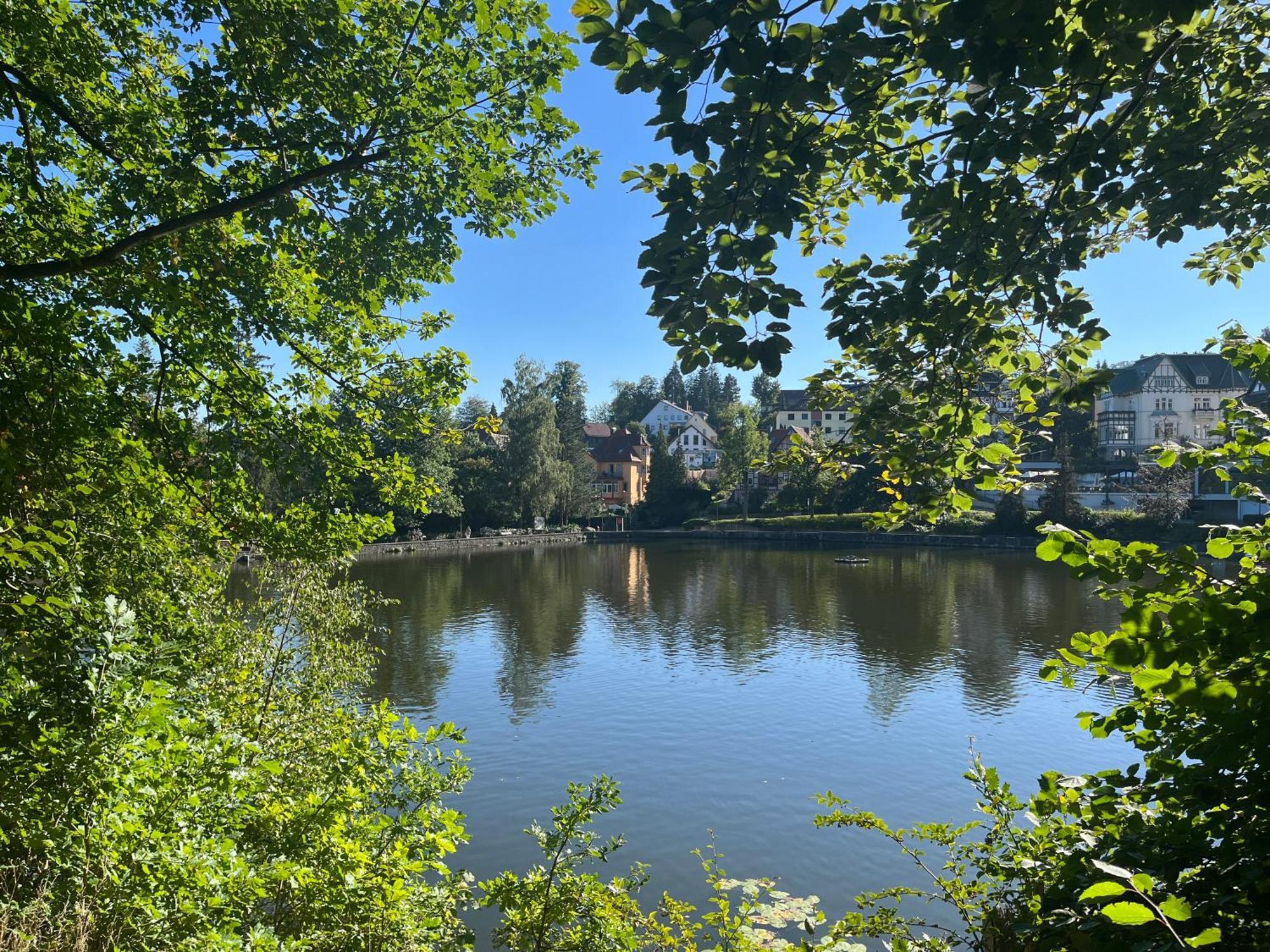 Haus Am See Bad Sachsa Kültér fotó