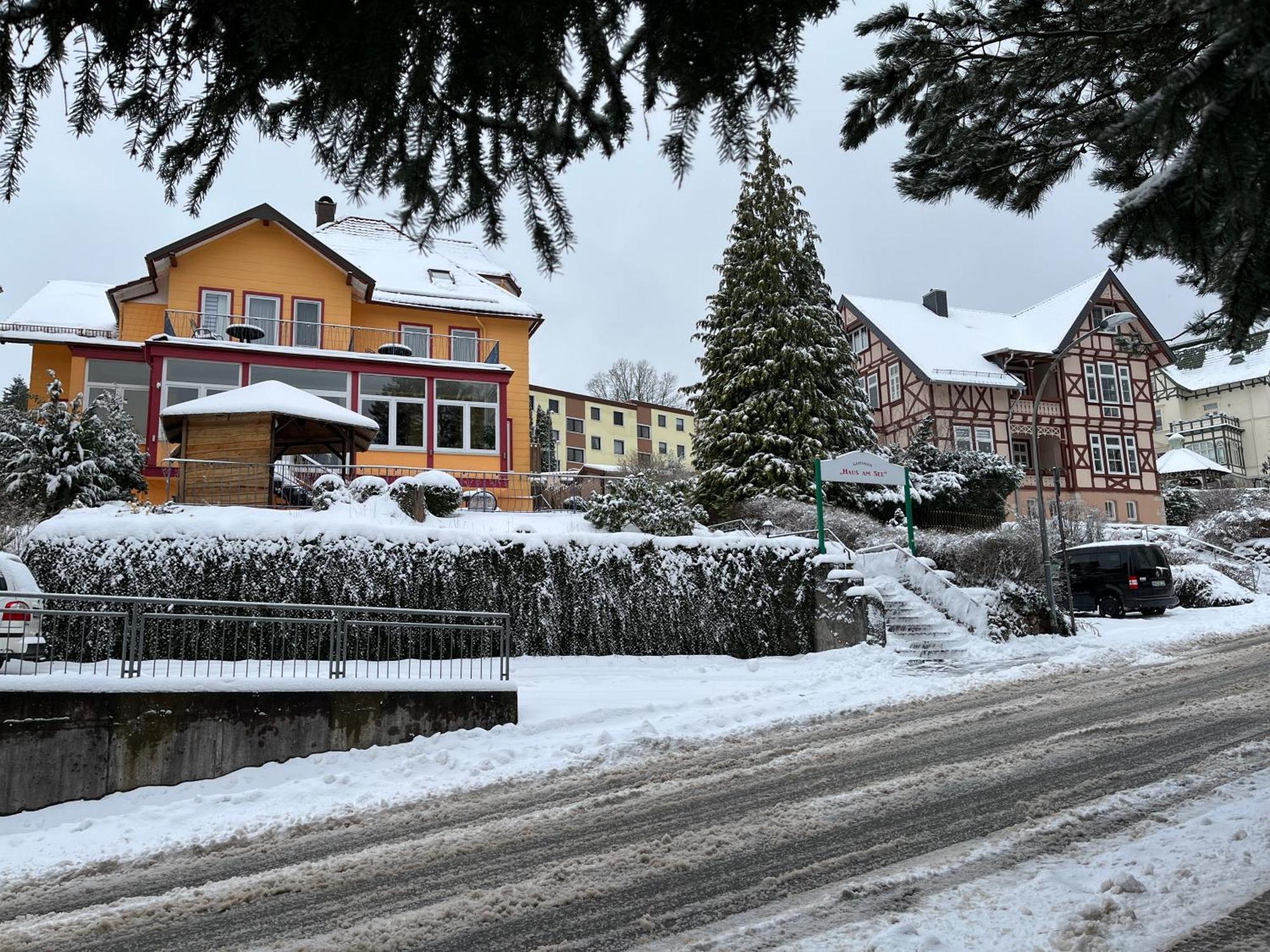 Haus Am See Bad Sachsa Kültér fotó