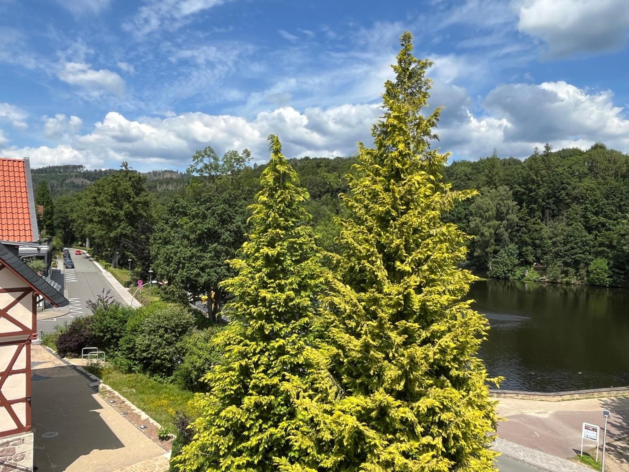 Haus Am See Bad Sachsa Kültér fotó
