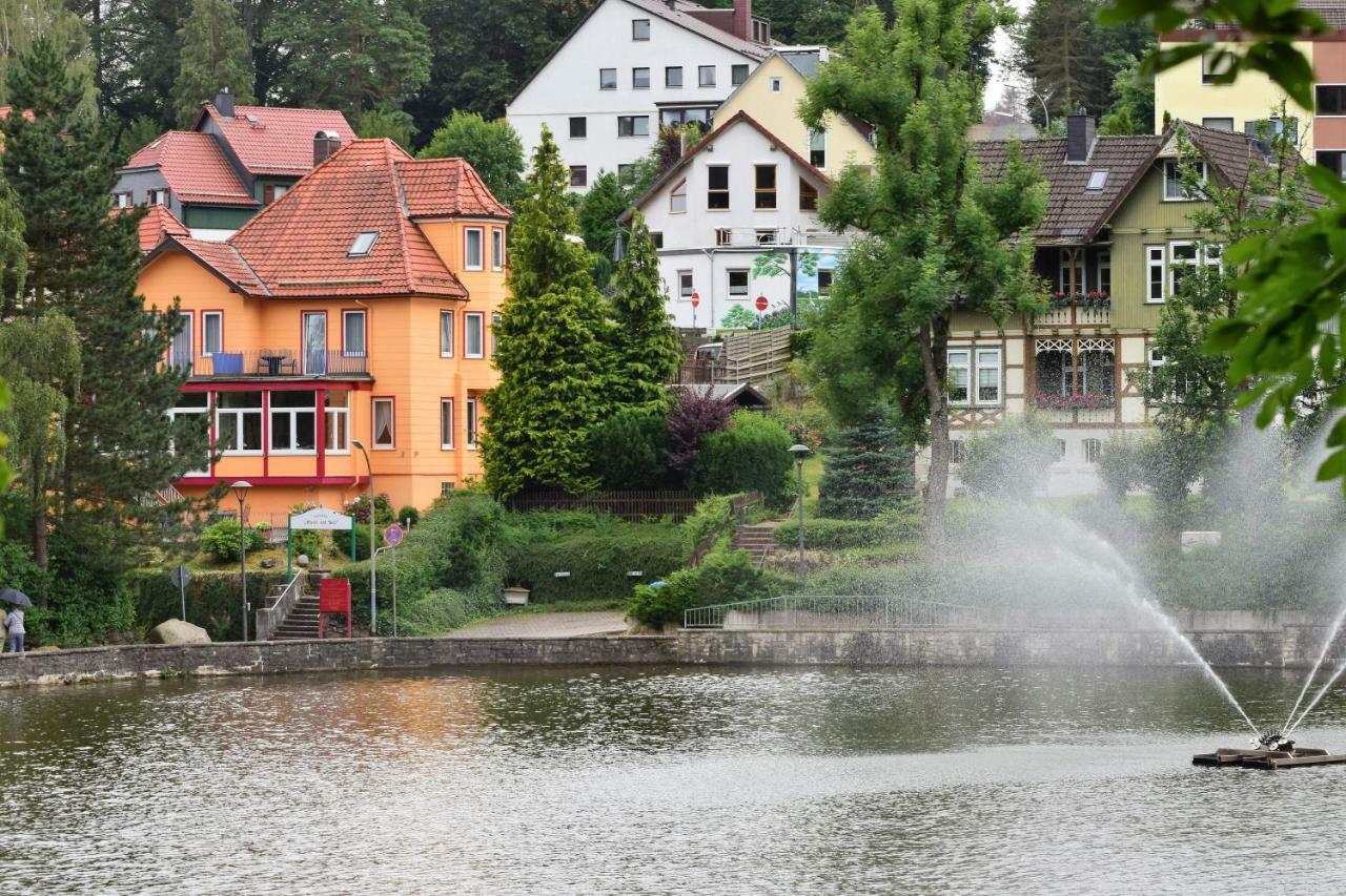 Haus Am See Bad Sachsa Kültér fotó
